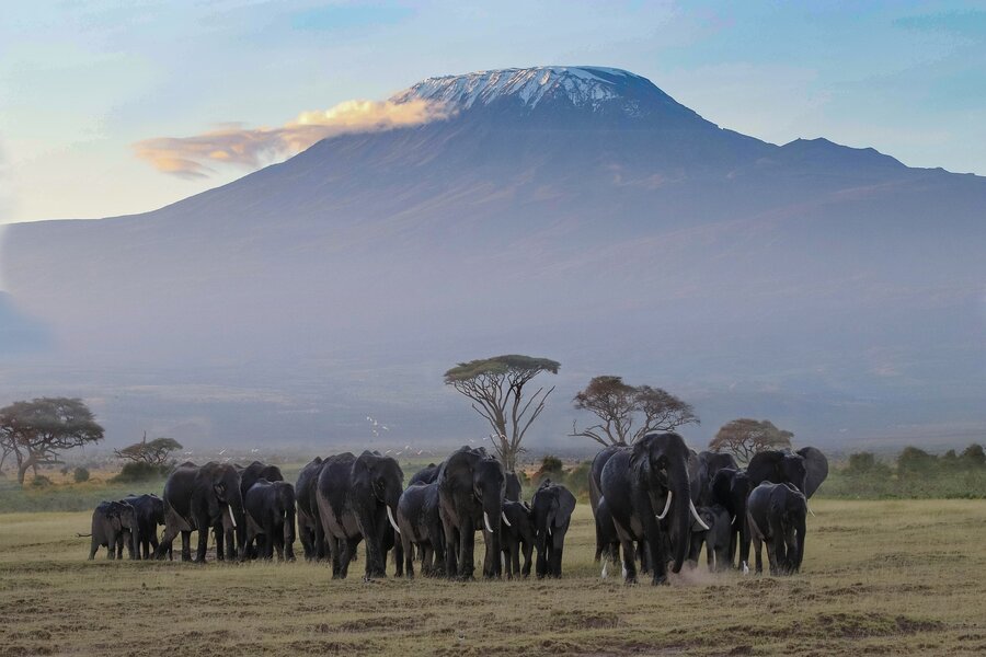 About Kilimanjaro