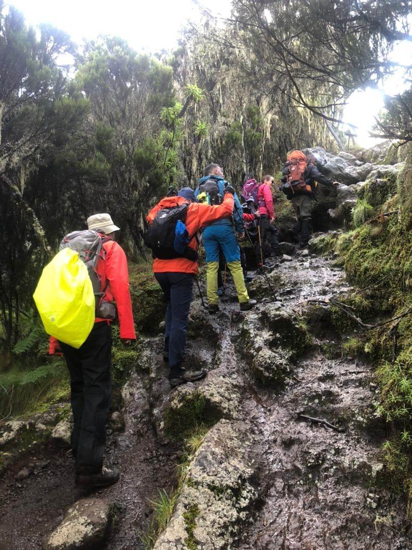 Kilimanjaro forest trekking