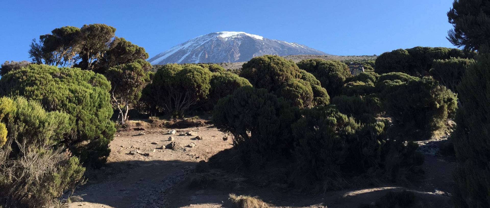 Kilimanjaro travel deals