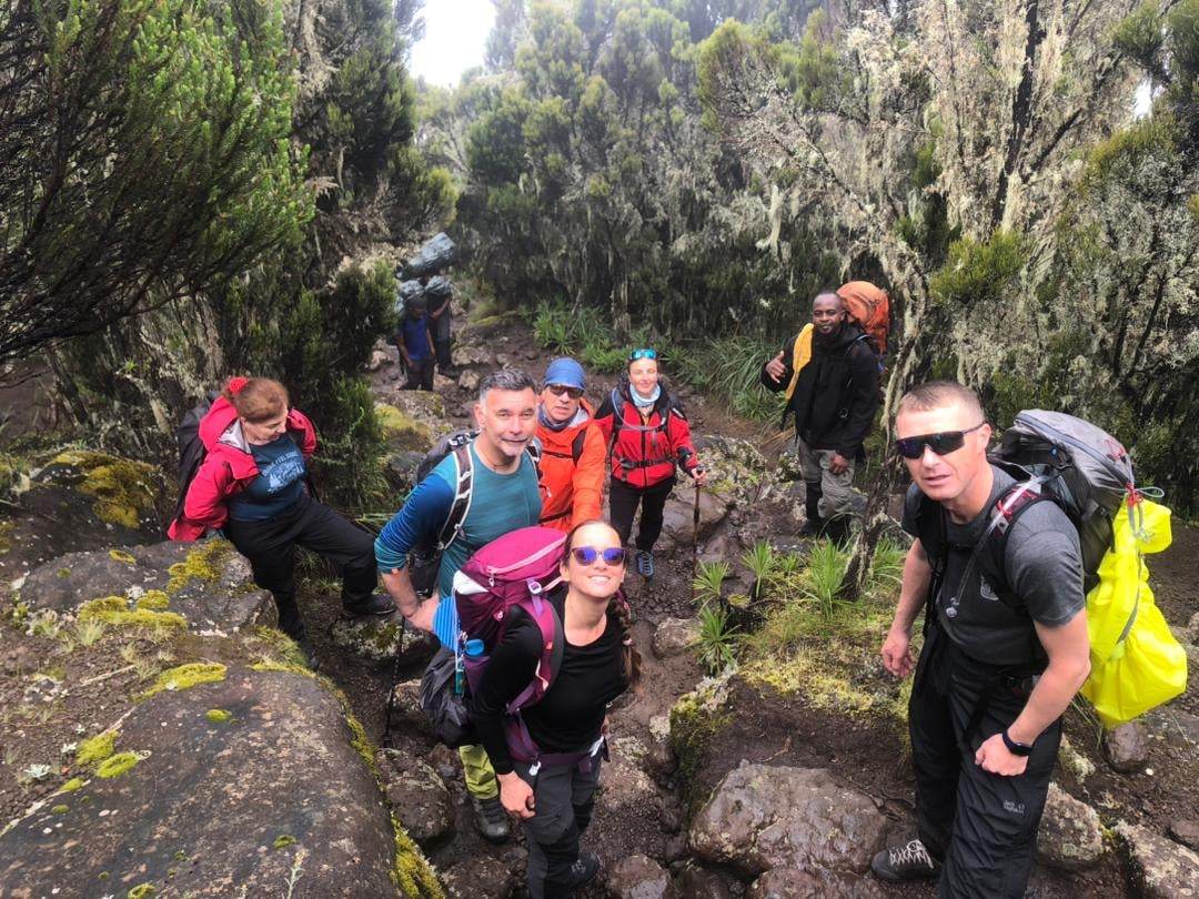 Kilimanjaro trails nature photo machame route