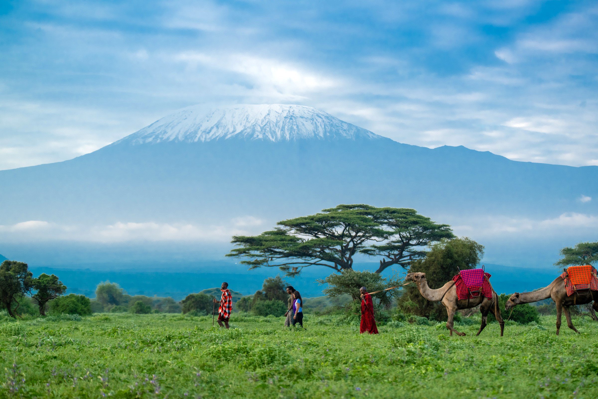 Kilimanjaro camel safaris